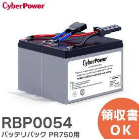 RBP0054 バッテリパック PR750 用バッテリパック CyberPower サイバーパワー バッテリ