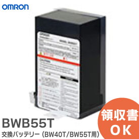 BWB55T UPS 用 交換バッテリー ( BW40T / BW55T 用 ) UPS ( 無停電電源装置 ) 用 交換バッテリ オムロン ( OMRON ) オムロンのUPS ( 無停電電源装置 ) シリーズ【 在庫あり 】
