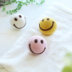 y2000~|bLzE[hC[{[i3Zbgj X}C  @p Z GR SDGs VRf 킢 