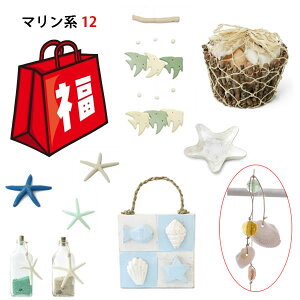 y܁z2025N } VF 12_ȏ X^[tBbV Ruqgf VF{g Lk K[h `C gC u JsX l` AWAACe C  T}[