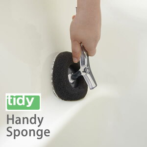 tidy oXX|W nfBX|W Handy Sponge V[g^Cv { eBfB oXpi uV X|W C oX[  | hJr C| C|   |@DM֕s