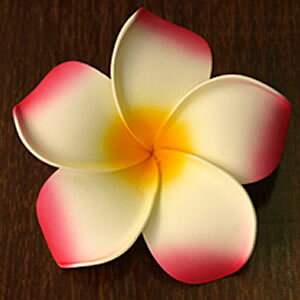  Ԃт X|W vA LLTCY 1  A tWpj AWA o nC ][g 썑 fBXv[ IuWF  G cb AWAG JtHjA C k 