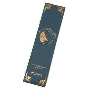 y500~|bLz TeB XeBbN 24cm Larasati  CZX A} AWA o cb