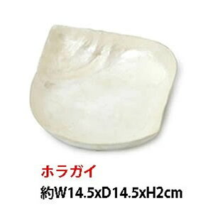 y2000~|bLz}BD JsX gC g[ VF ][g fBXv[ CeA G  } X^[tBV qgf Mt AWAG