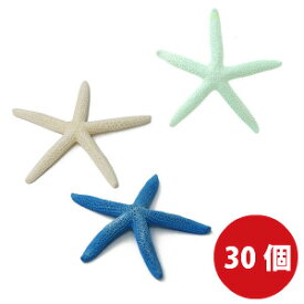 楽天市場 スターフィッシュ インテリアの通販