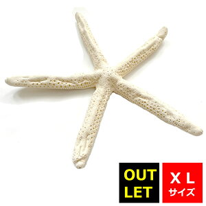 ܂Ƃߔyzy󂠂zyAEgbgz}EB X^[tBbV XLTCY rbOTCY qgf fBXv[ CeA G  } ][g tc AWAG