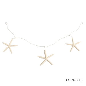 yԌ聚z}M rbOX^[tBbV qgf K[h3A fBXv[ CeA G  } ][g tc AWAG