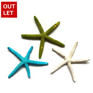 ܂Ƃߔyzy󂠂zyAEgbgz }E X^[tBbV qgf fBXv[ CeA G  } ][g tc AWAG Lk s