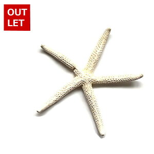 ܂Ƃߔyzy󂠂zyAEgbgz }E X^[tBbV qgf fBXv[ CeA G  } ][g tc AWAG Lk s