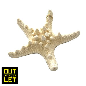 yz󂠂 }F Ruqgf 10 X^[tBbV qgf I[ig fBXv[ CeA G  } ][g tc AWAG s AEgbg 1000~|b