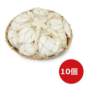 yԌ聚z}U VF oXPbg zCgRR Lk fBXv[  } X^[tBbV ][g tc CeAG AWAG RRic