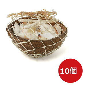 yԌ聚z}V VF oXPbg RR Lk fBXv[  } X^[tBbV ][g tc CeAG AWAG RRic