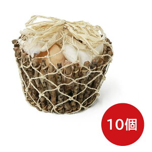 yԌ聚z}X VF oXPbg RRgDCbO Lk fBXv[  } X^[tBbV ][g tc CeAG AWAG RRic