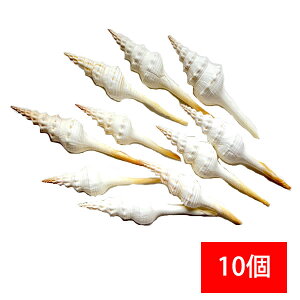 y1000~|bLz} L 7Zbg VFlߍ킹 ܂L Lk VF fBXv[ CeA G  } ][g tc AWAG 