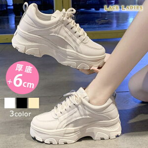  Xj[J[ _bhXj[J[ fB[X _bhV[Y {[Xj[J[ Cq[ r tbgV[Y JWA ^EV[Y [XAbv Ȃ h\[  