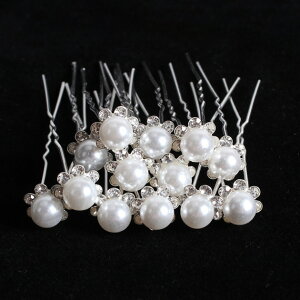 y20{Zbgz p[ × rW[ t[ hX Us  fB[X wAANZT[   r[Y C~e[V ^ LL  t[  p[eB[ l  h