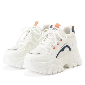 zF C bV  [XAbv Xj[J[  fB[X C AO[V[Y t  JWA ݊ ANeBu Xg[g ؍ RA Vv X|[eB {[ 