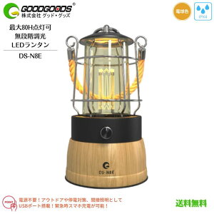 yzy[dA_ő80HzGOODGOODS ObhObY LED^ dF DS-N8E R[hX USB [d dr [drp iK g _ AeB[N [hCg 铔 