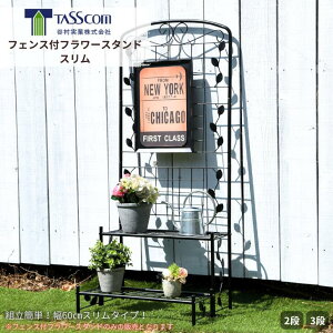 yzJ tFXtt[X^h X 60cm 2i 3i O K[f  AEghA ubN zCg Vv _  JtF X I