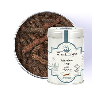 ���b�h�����O�y�b�p�[30g TERRE EXOTIQUE ( �e�[���G�O�]�e�B�b�N )
