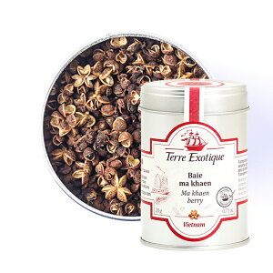 }bP[ybp[20g TERRE EXOTIQUE ( e[GO]eBbN )