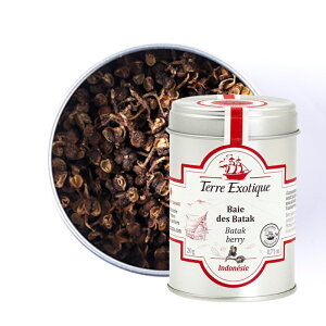 o^bNybp[20g TERRE EXOTIQUE ( e[GO]eBbN )