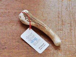 G]VJ̊p Y ySTCYzdeerdear dog gum / ̊pK ̊p Ic VRf ̊p