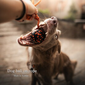 『新入荷！数量限定』Dog ball on rope 投げたり引っ張ったりノルウェー直輸入貴重商品天然素材で安心 BPAフリー 頑丈で壊れずらい 地球と犬に優しい100%リサイクルNonstopdogwear 犬 おもちゃ 【おかげさまで信頼の25周年路面店】