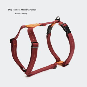 Dual Clip Dog Harness Madeira Papaya hbOn[lX }fCppC Cloud7 NEh7  p  n[lX COAyIS̔NxIzy12܂ł̌䒍œIzy