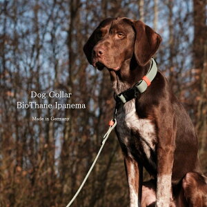 Dog Collar BioThane Ipanema �h�C�c������ Fidlock �}�O�l�b�g��BioThane �o�C�I�V�[�� Cloud7 �ʒ��FCloud7 �N���E�h7 �h�C�c �x������ �C�O���A���y���������I���S�̔N�����x�I�z�y�������l�ŐM����24���N