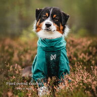 【数量限定！送料無料！】Non-stop dogwear Fjord overall raincoat teal ノルウェー直輸入 犬 レインコ…