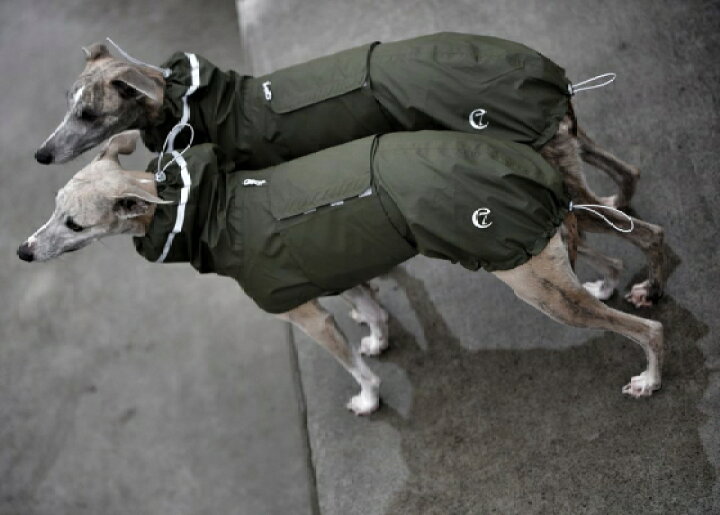 楽天市場】Dog Raincoat Hamburg 犬用レインコート ハンブルク Size 8 Moss Greenモスグリーン 犬 レインコート  Cloud7 クラウド7 【数量限定！送料無料！】【12時までの御注文で即日発送！】【おかげさまで信頼の20周年】 : DENIS STORE
