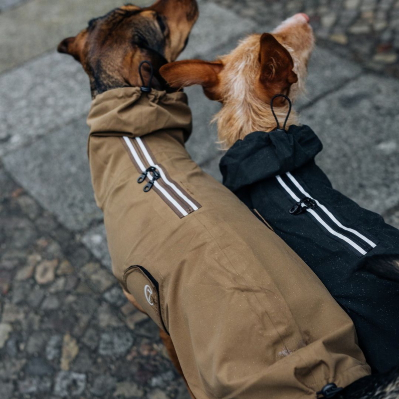 楽天市場】Dog Raincoat Dublin 犬用レインコート ダブリン Size 7
