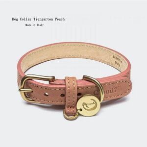 Cloud7 NEh7 Dog Collar Tiergarten Peach Size XL  p v COA yIS̔NxIzy12܂ł̌䒍œIzylŐM20Nz