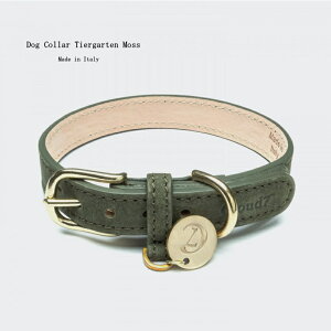 Cloud7 NEh7 Dog Collar Tiergarten Moss Size L  p v COA yIS̔NxIzy12܂ł̌䒍œIzylŐM20Nz