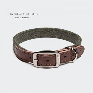 Cloud7 NEh7 Dog Collar Tivoli Olive Size L  p v COA yIS̔NxIzy12܂ł̌䒍œIzylŐM20Nz