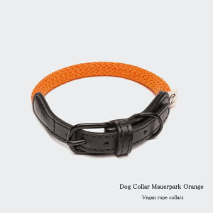 Cloud7 NEh7 Dog Collar Mauerpark Orange Size M hbOJ[ }EGAp[N  p v COA B[K hCc TXeBiu yIS̔NxIzylŐM20