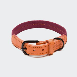 Cloud7 NEh7 Dog Collar Madeira Papaya Size XL hbOJ[ }fC ppC  p v COA hCc [sAU[ \yIS̔NxIzylŐM