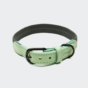 Cloud7 NEh7 Dog Collar Madeira Mint Size XS hbOJ[ }fC ~g  p v COA hCc [sAU[ \yIS̔NxIzylŐM20