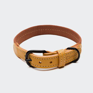 Cloud7 NEh7 Dog Collar Madeira GingerSize XS hbOJ[ }fC WW[  p v COA hCc [sAU[ \yIS̔NxIzylŐM