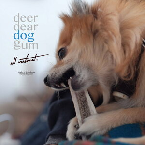 VIG]VJp Y ylSTCYzdeerdear dog gum / ̊pK ̊p Ic VRf ̊pp̌dǨ߂̒^