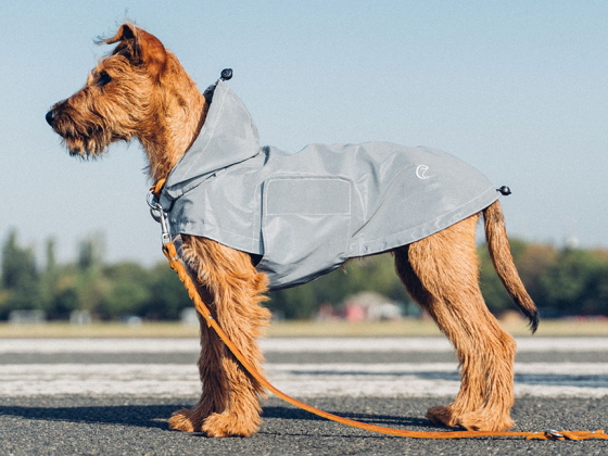 Dog 人気 おすすめ Raincoat 即納 Berlin Reflective レインコート Size4 クラウド7 犬用レインコート ベルリン Cloud7