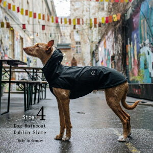 yhCcAAʌIzDog Raincoat Dublin pCR[g _u Size 4 Slate X[gF  CR[g  Cloud7 NEh7 yhCcŐVZpTCNfށzy܂ŐM
