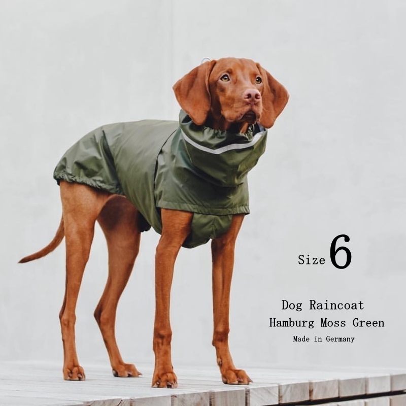 Dog Raincoat Hamburg 犬用レインコート ハンブルク Size 6 Moss Greenモスグリーン 犬 レインコート Cloud7  クラウド7 【数量限定！送料無料！】【12時までの御注文で即日発送！】【おかげさまで信頼の20周年】 | DENIS STORE