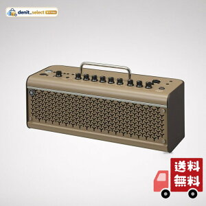 ���}�n YAMAHA �A�R�[�X�e�B�b�N�M�^�[�p�A���v THR30IIA WIRELESS