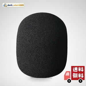 �I�[�f�B�I�e�N�j�J AT8176 �E�B���h�X�N���[�� �K���@��: AT2040 AT2040USB �|�b�v�m�C�Y�y�� �z�M �i���[�V���� ���R�[�f�B���O �Q�[������ �y�������K�i�z