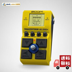 ZOOM(�Y�[��) MS-200D Plus �}���`�X�g���v�y�_�� �C�G���[