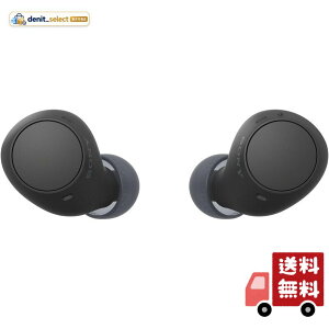 �\�j�[(SONY) ���S���C�����X�C���z�� WF-C510 / �y�ʏ��^4.6g / �����x�ʘb�i��/�O����荞�ݑΉ�/�}���`�|�C���g�Ή� / IPX4�h�H���\ / �u���b�N/WF-C510 BC