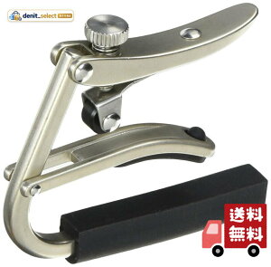 SHUBB �V���u �J�|�^�X�g �A�R�[�X�e�B�b�N�M�^�[�p C-1N Brushed Nickel �u���b�V���h�j�b�P�� �y�������K�i�z