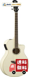 ���}�n YAMAHA �G���A�R�M�^�[ APX600 VW